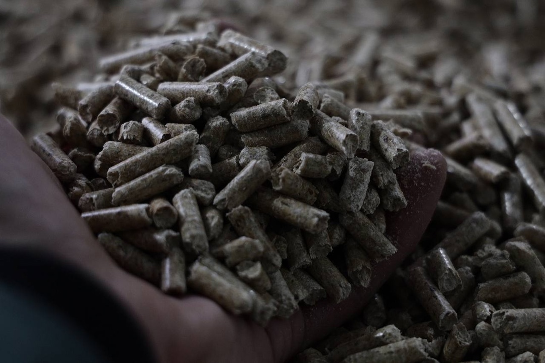 Источник фото: https://vk.com/wall358141318_180811