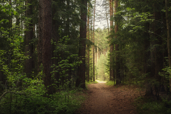 Shutterstock/Lena_Sokolova