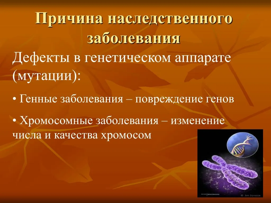 Фотография взята из источника yandex.ru