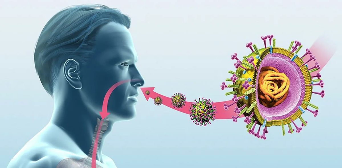 Фотография взята из источника yandex.ru