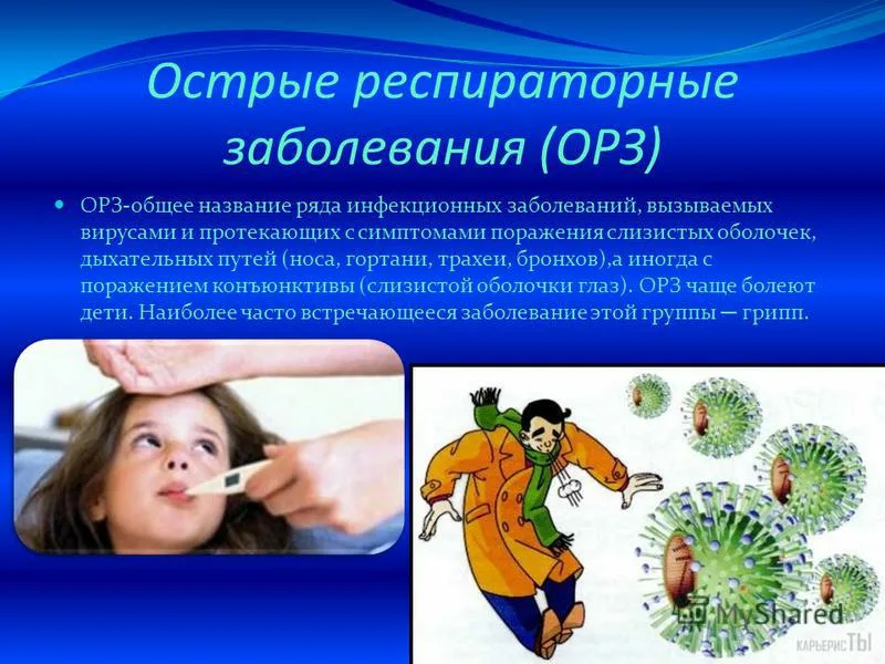 Фотография взята из источника yandex.ru