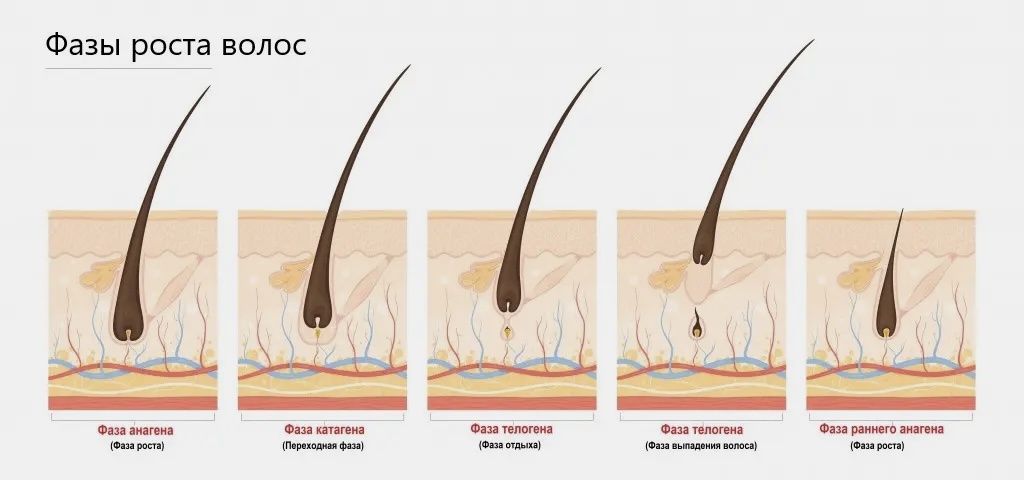 Источник: Яндекс Картинки