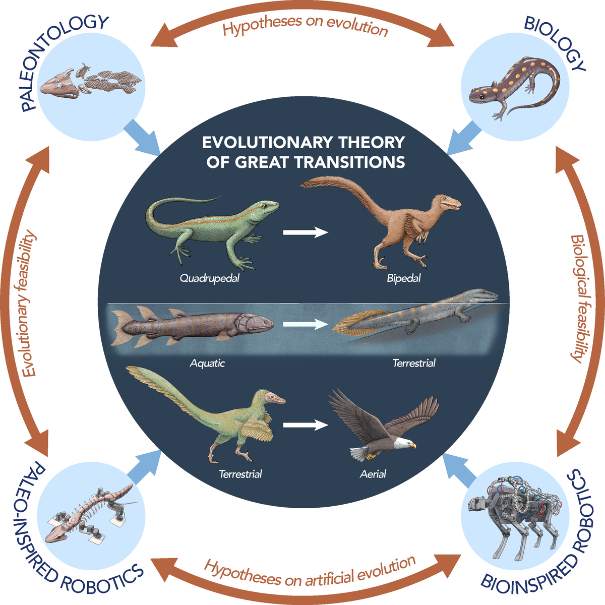 Общая схема, объясняющая принцип работы Ишиды