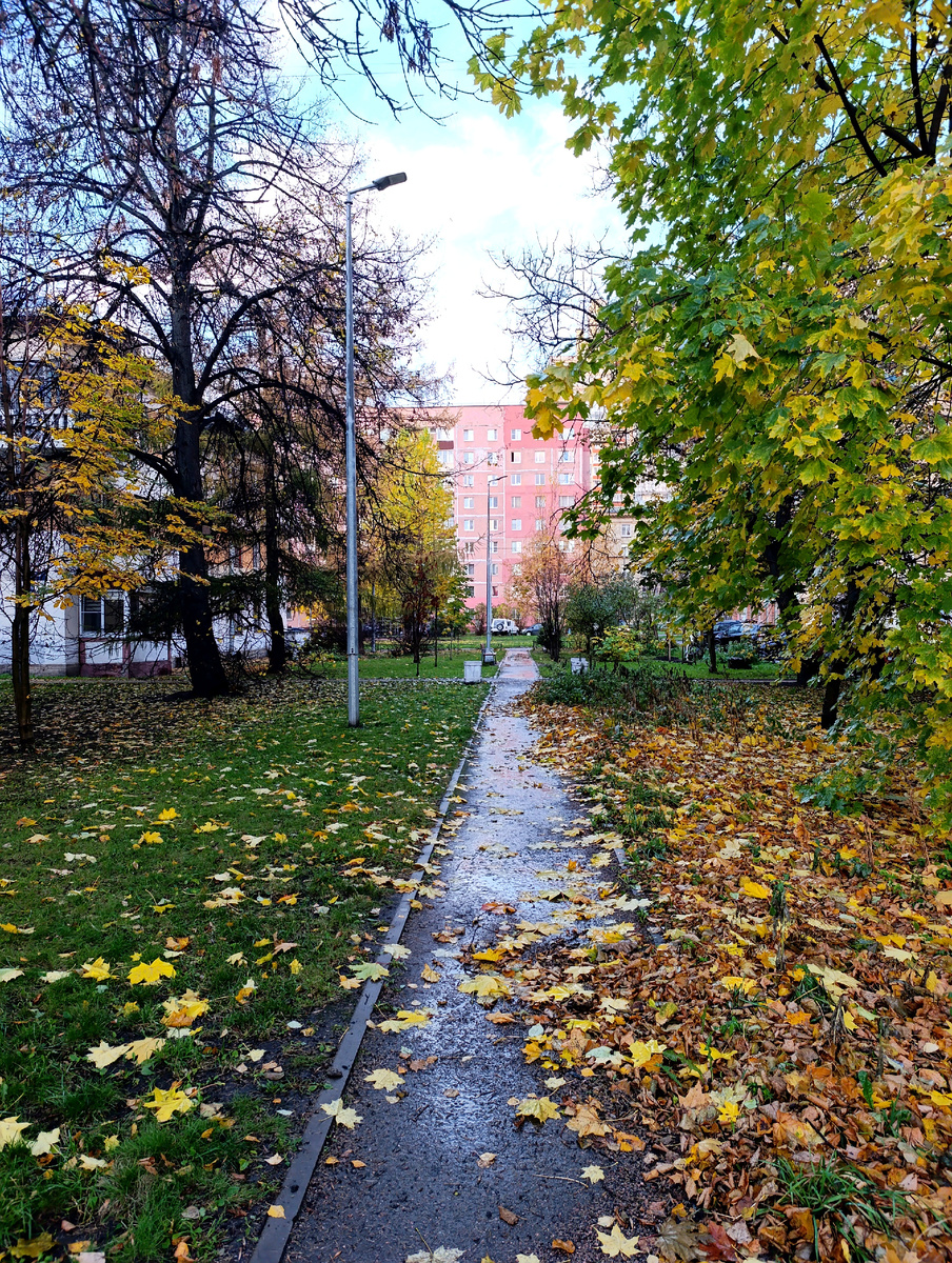 Все фото автора. 