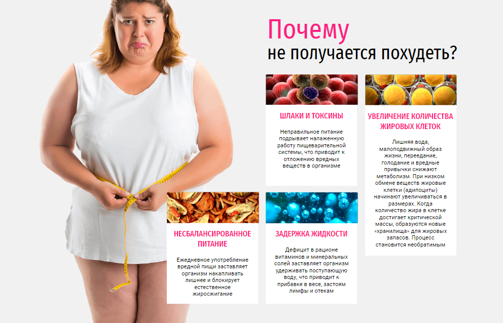 Фотография взята из источника yandex.ru