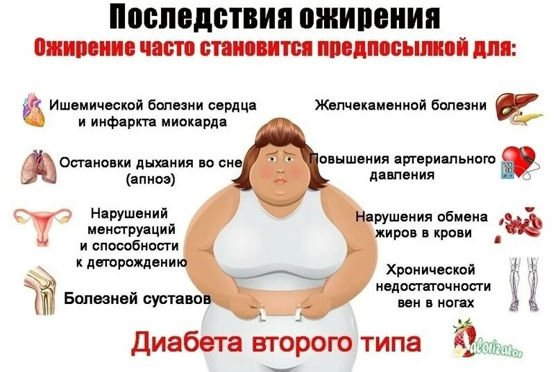 Фотография взята из источника yandex.ru