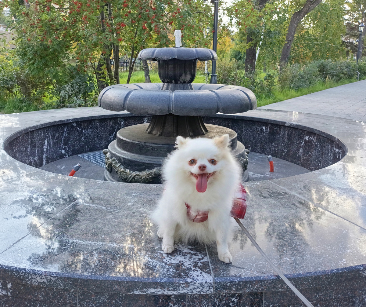 Фонтан в Малом сквере Металлургов 