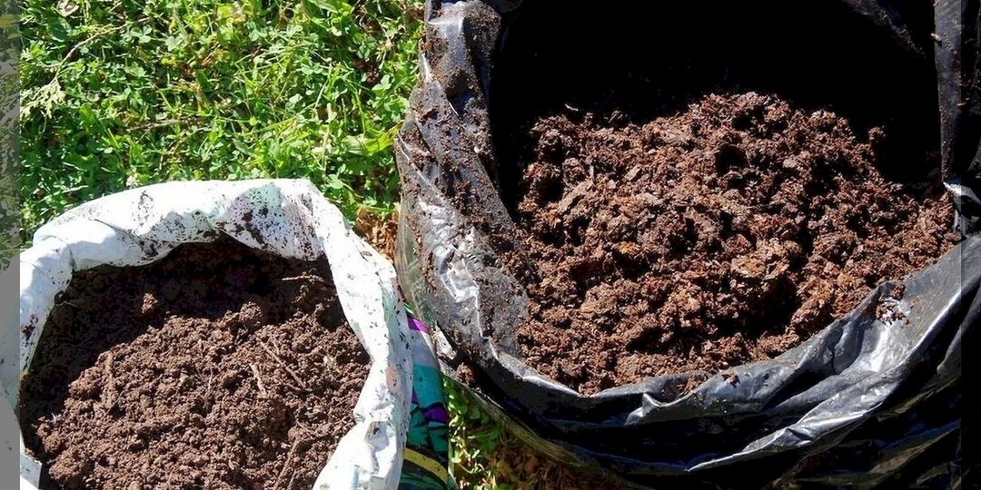 Как осенью заготовить грунт для рассады: простой способ приготовление почвосмеси для рассады своими руками