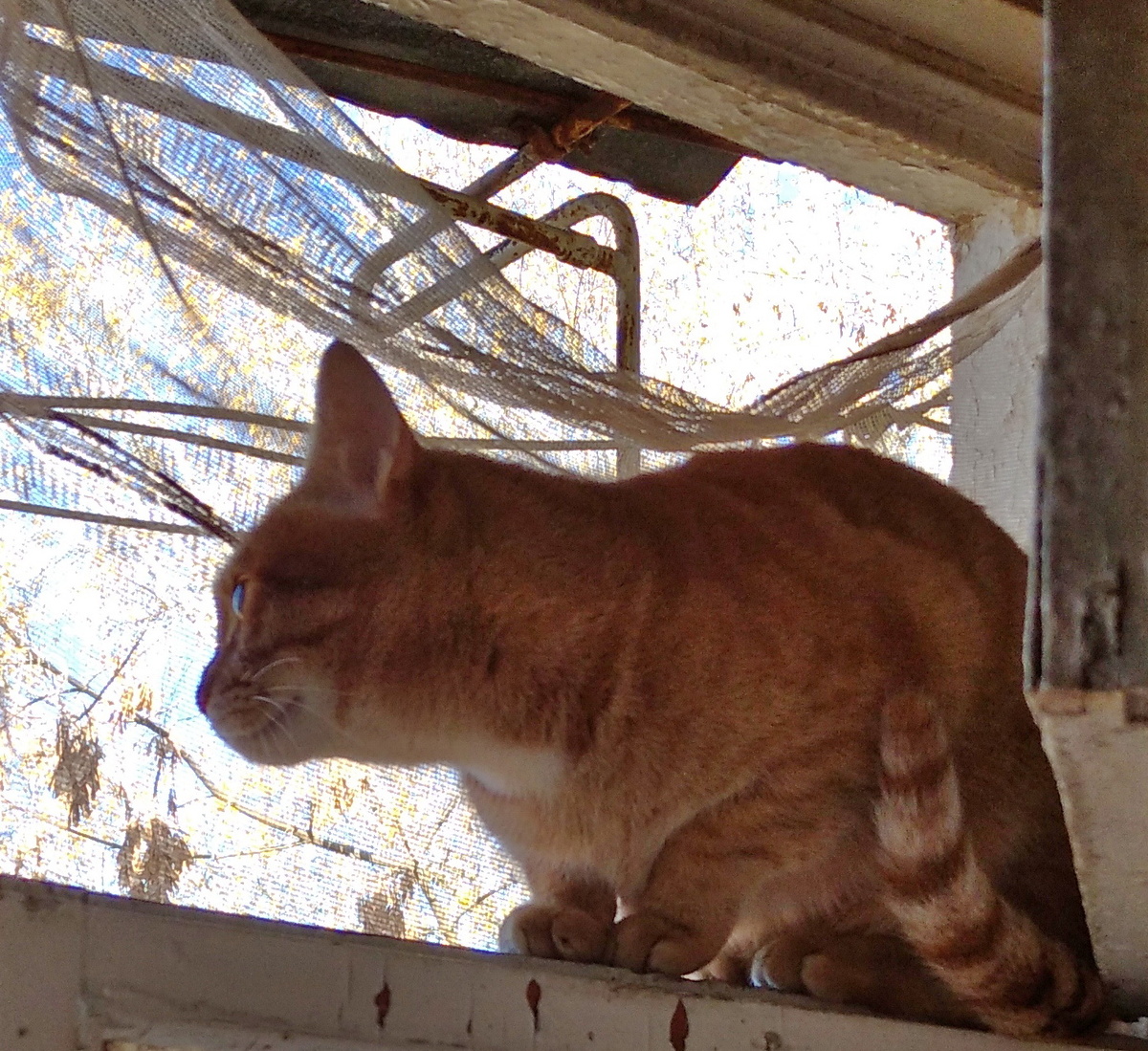 Личное фото.