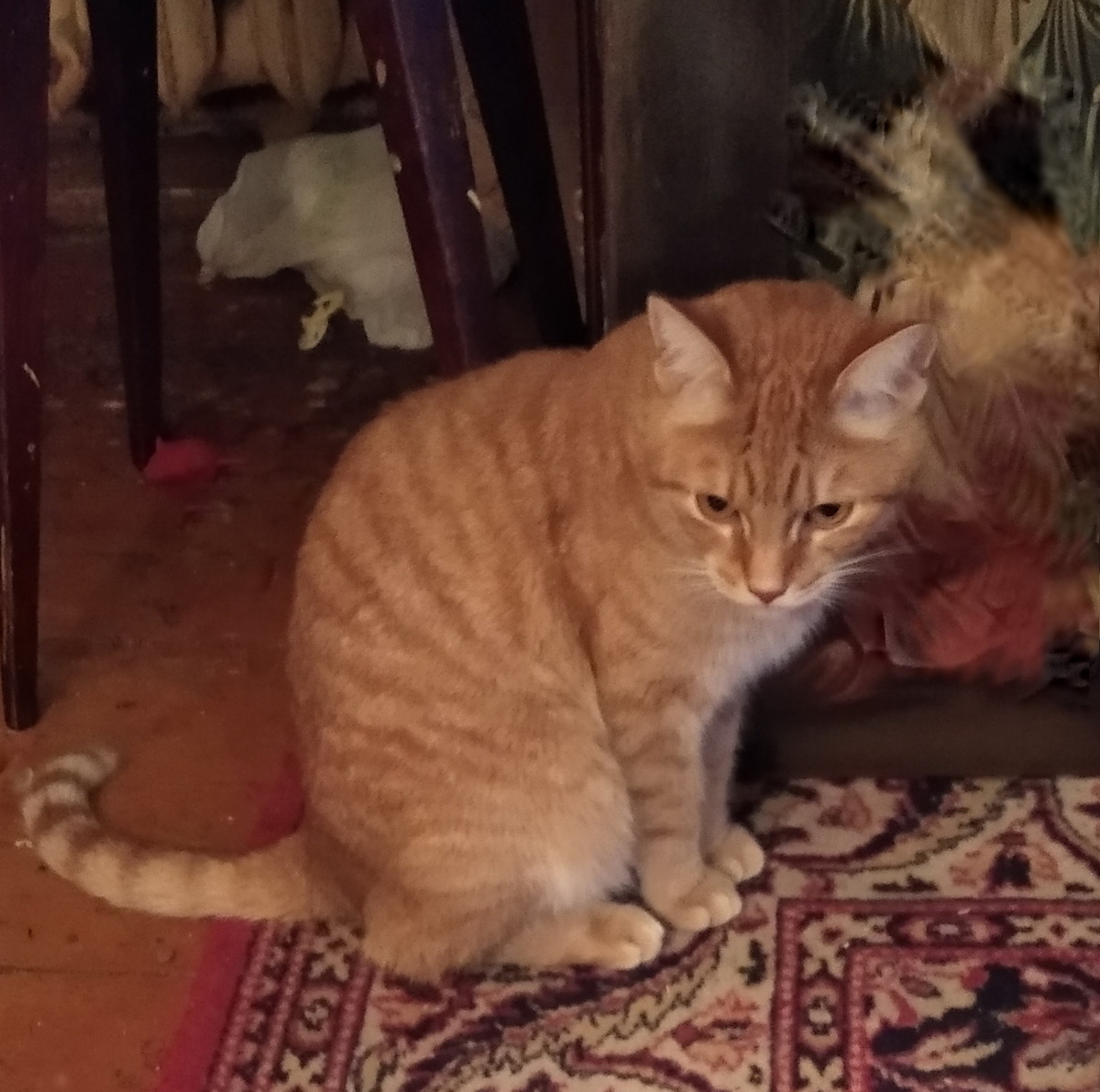 Личное фото.