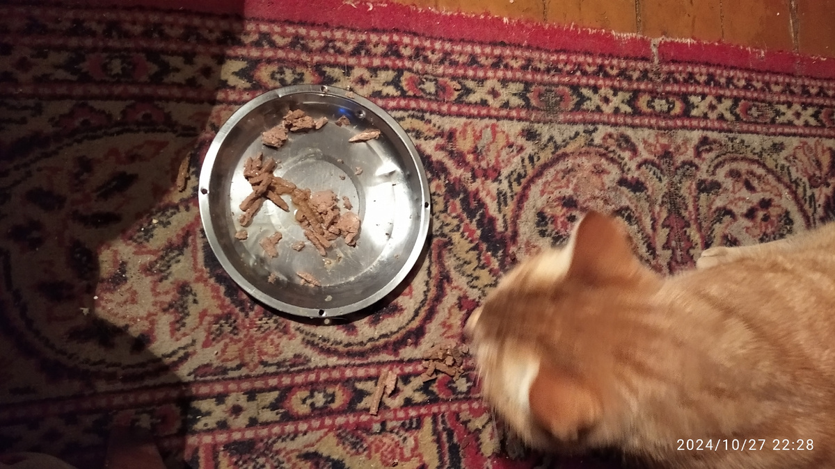 Личное фото.