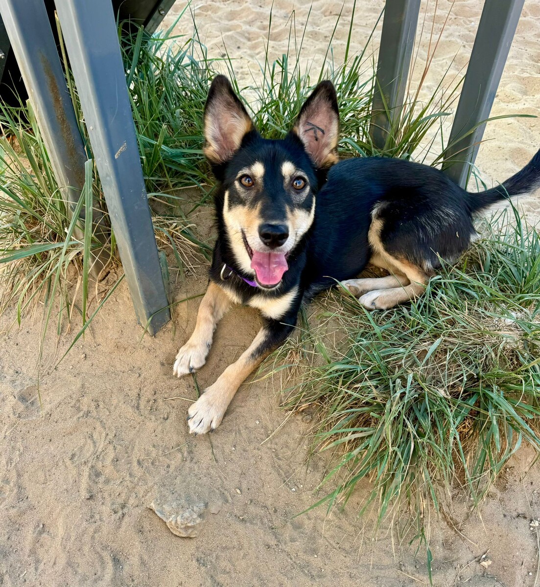 Красотуля Линда все еще ждет