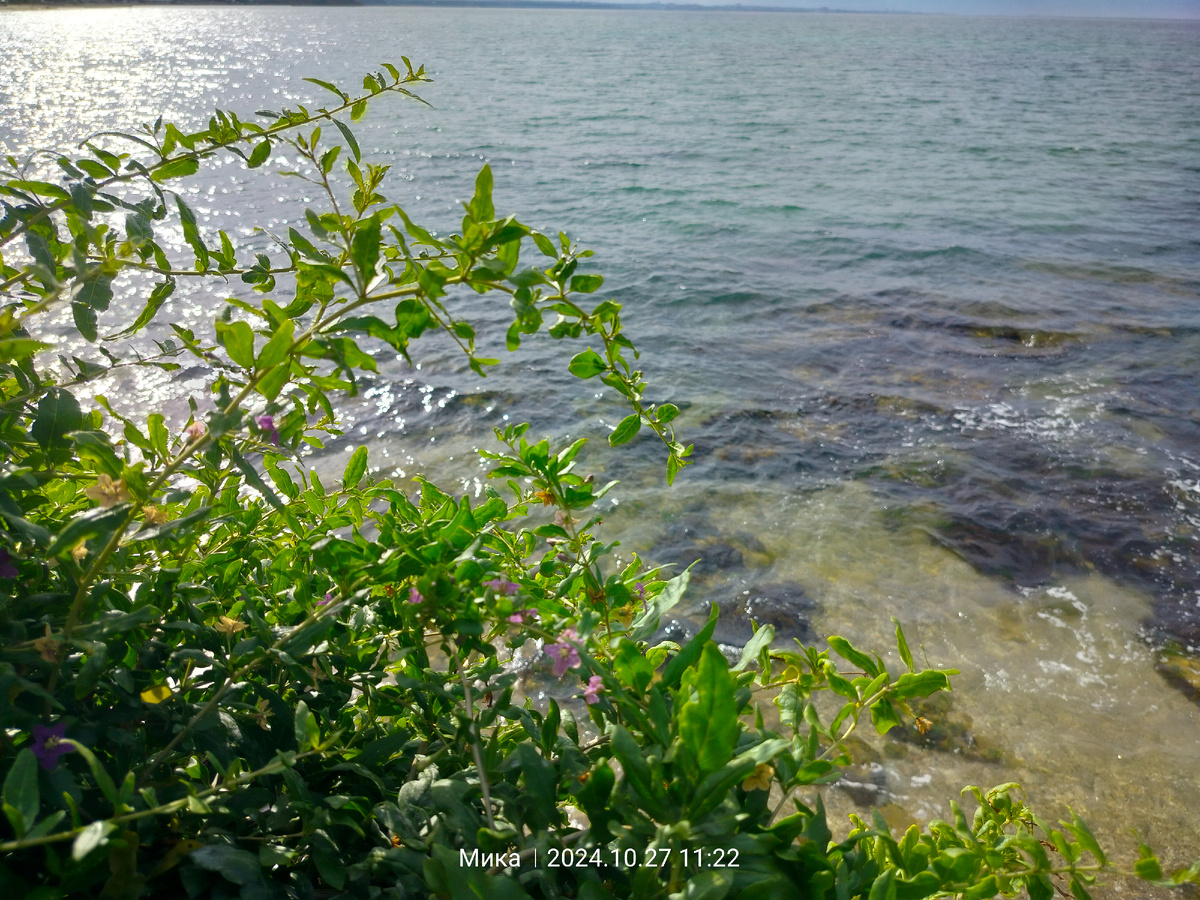 Севастополь, конец октября