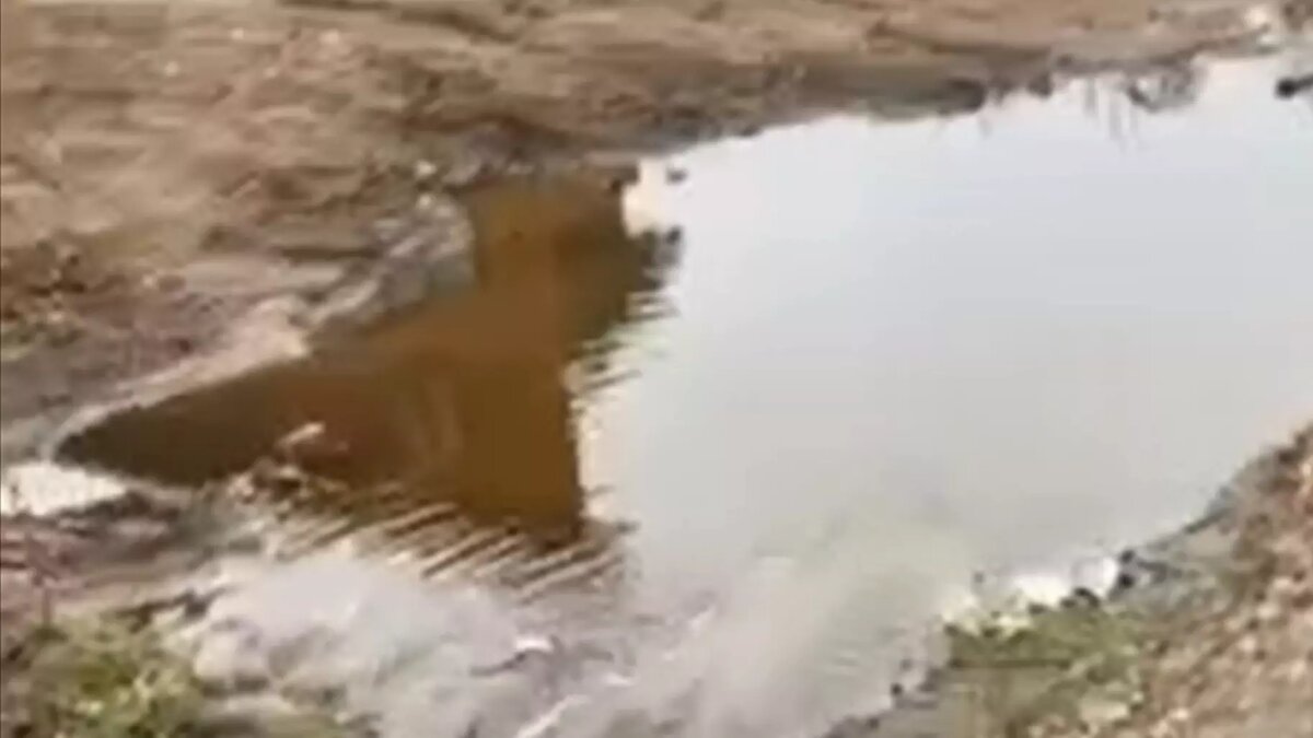     Источник: Группа «Кстати»