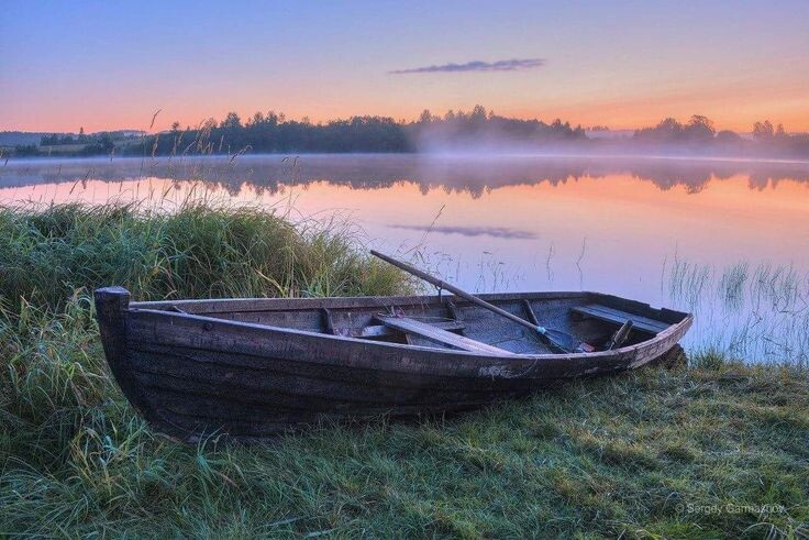 изображение из открытых источников