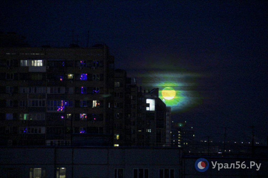    Жители Оренбургской области смогут увидеть самое мощное полнолуние за этот год в ноябре