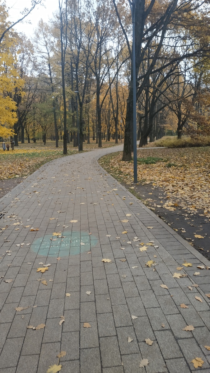 Дорожки в парке выложены плиткой, но есть и тропинки из гравия.