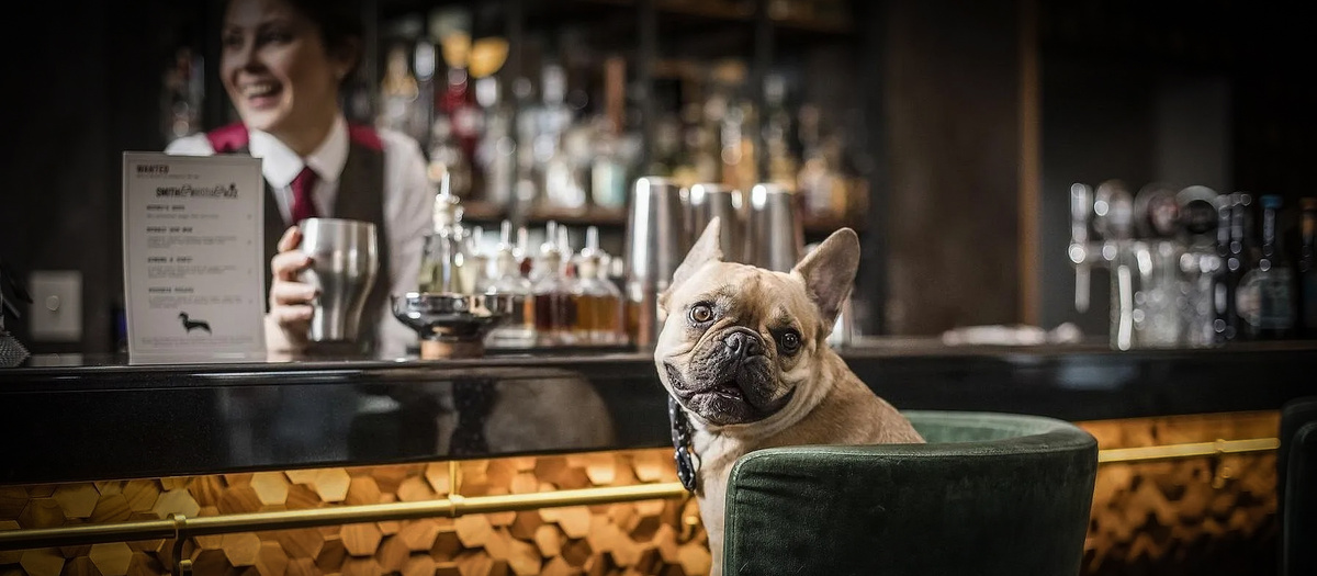 Источник: yandex.ru