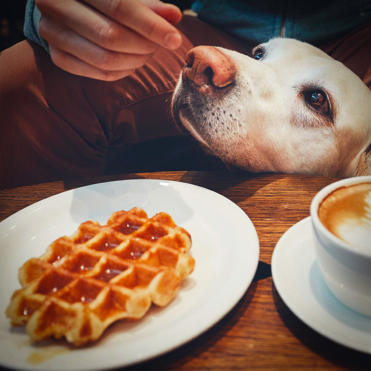 Источник: yandex.ru