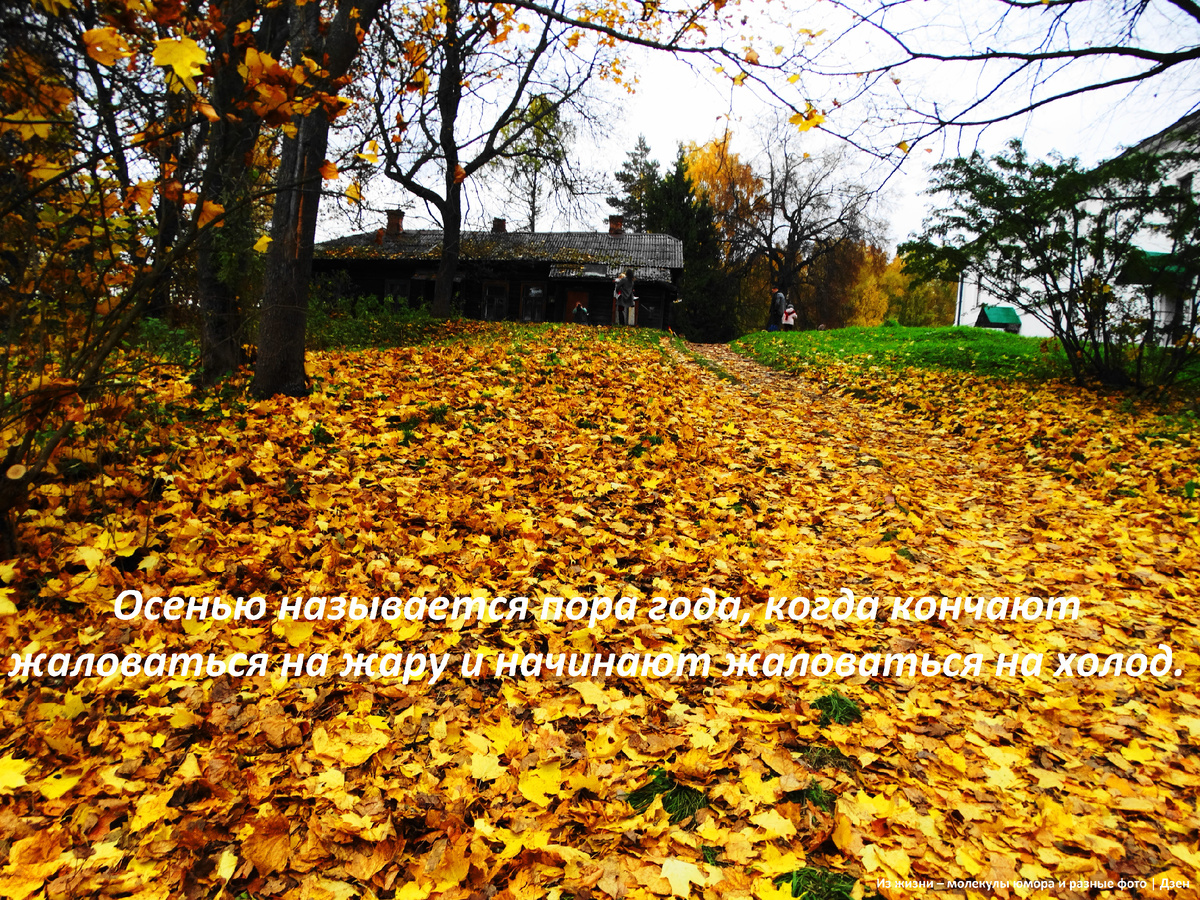 Осень в Карабихе