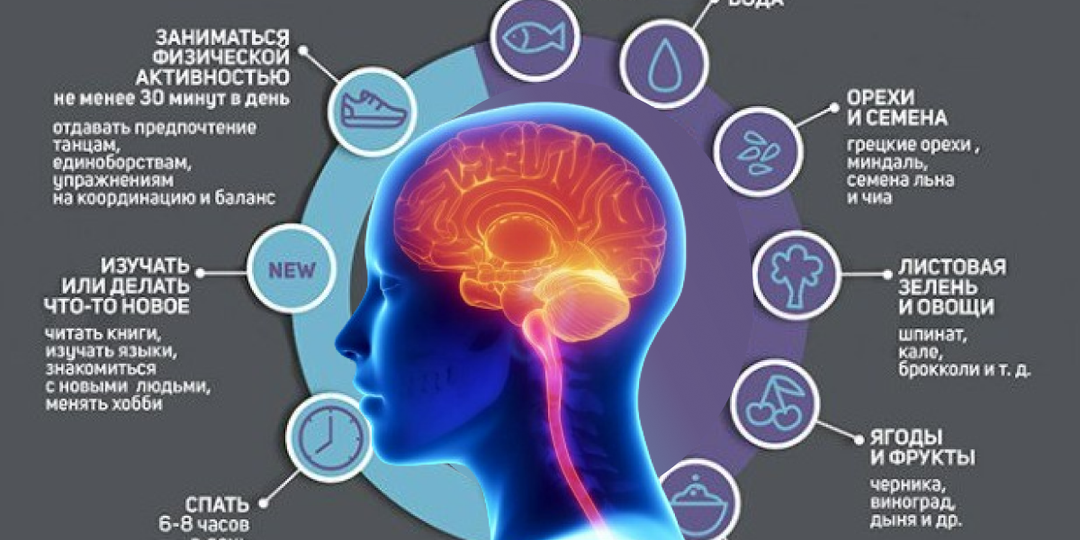 Как улучшить работу мозга: секреты долголетия и ясности ума