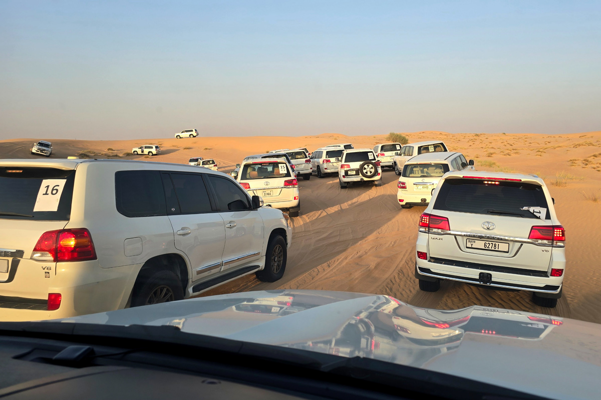 ОАЭ, Дубай, пустыня