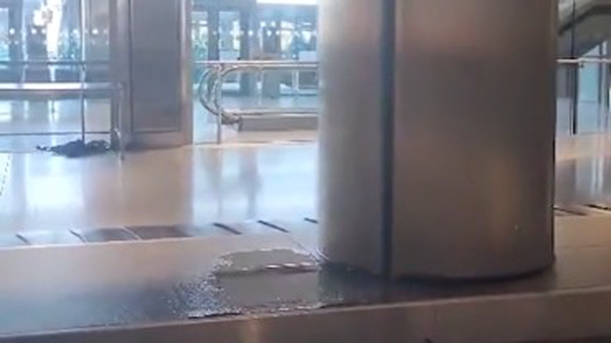    Фото: X OnTheRoadToYou / скриншот