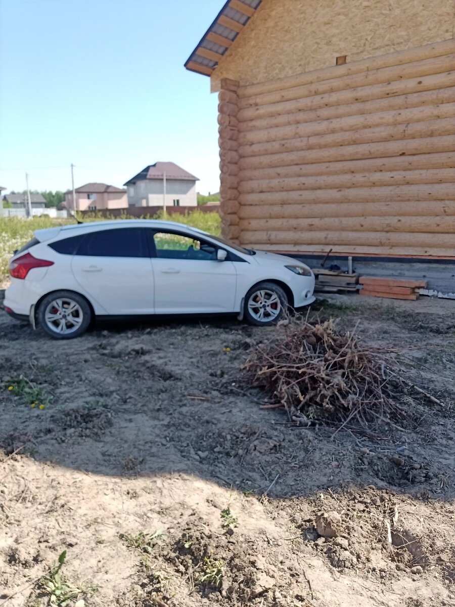 Одна из небольших куч выкорчеванных корней