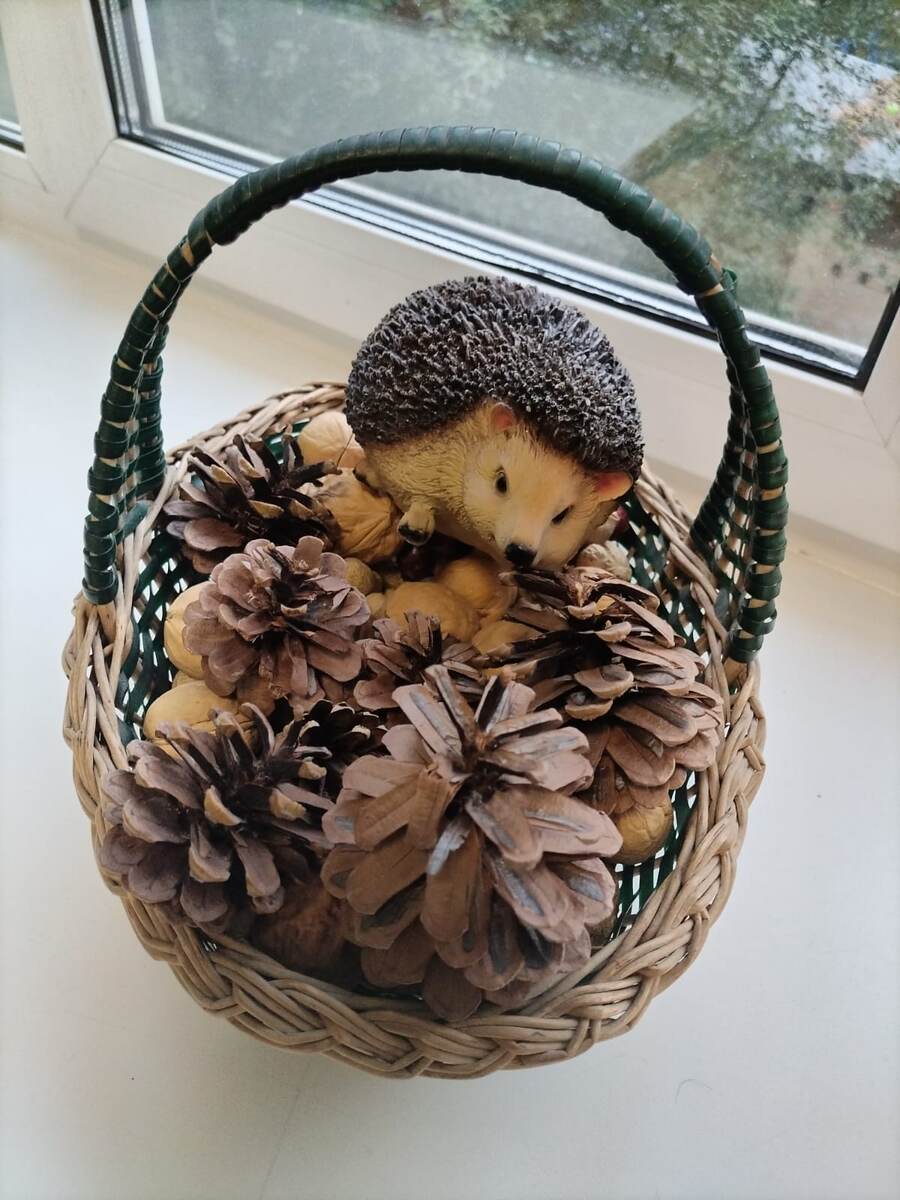 Еловая корзиночка.