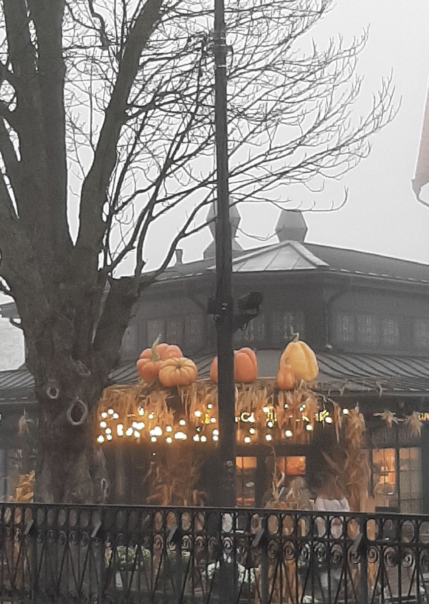 Тыквы были везде