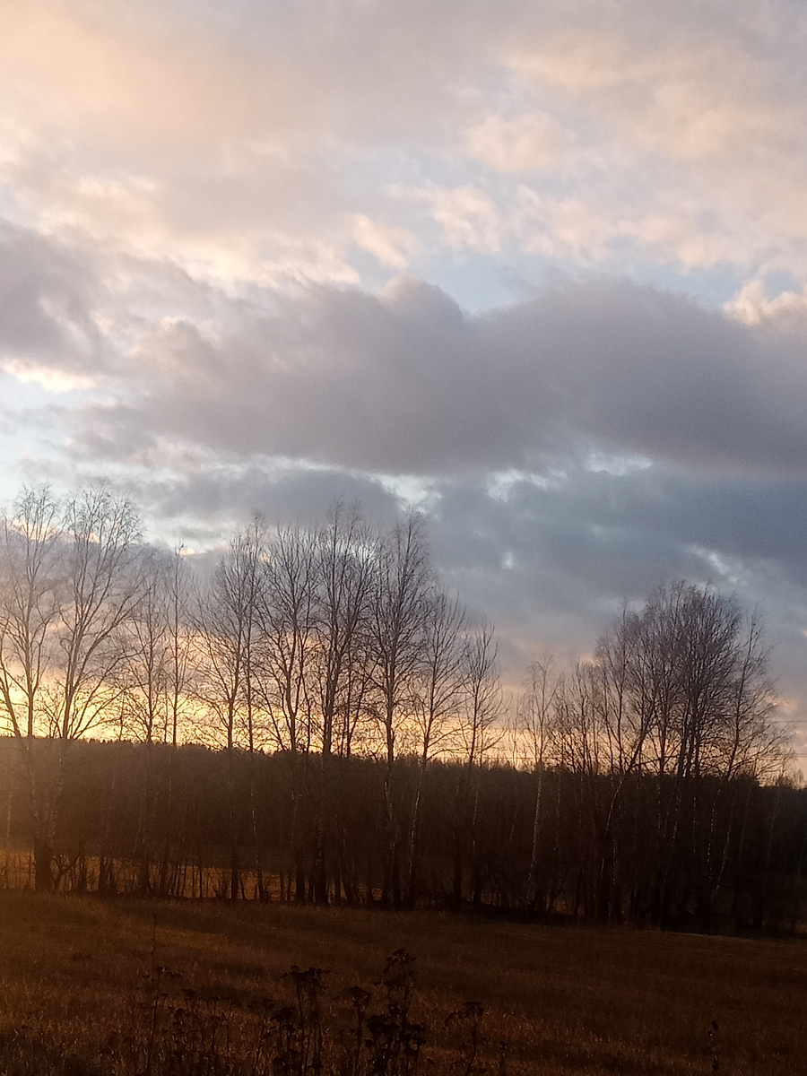 Это  25 октября.А сегодня утром28 октября был туман и погода за день менялась ,то на теплую,то на более холодную.Утром пролетали снежинки.