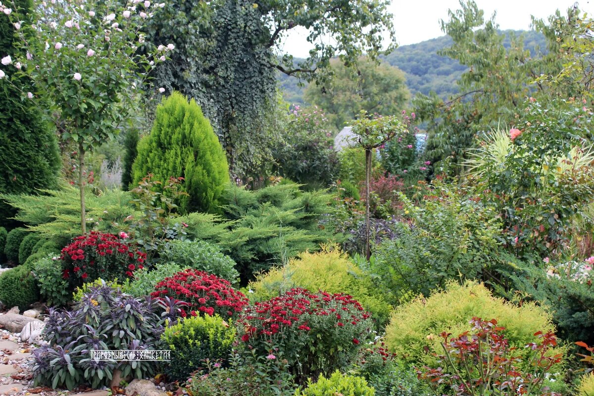 1. Фото Анастасии Булановой, https://ok.ru/profile/325856738169