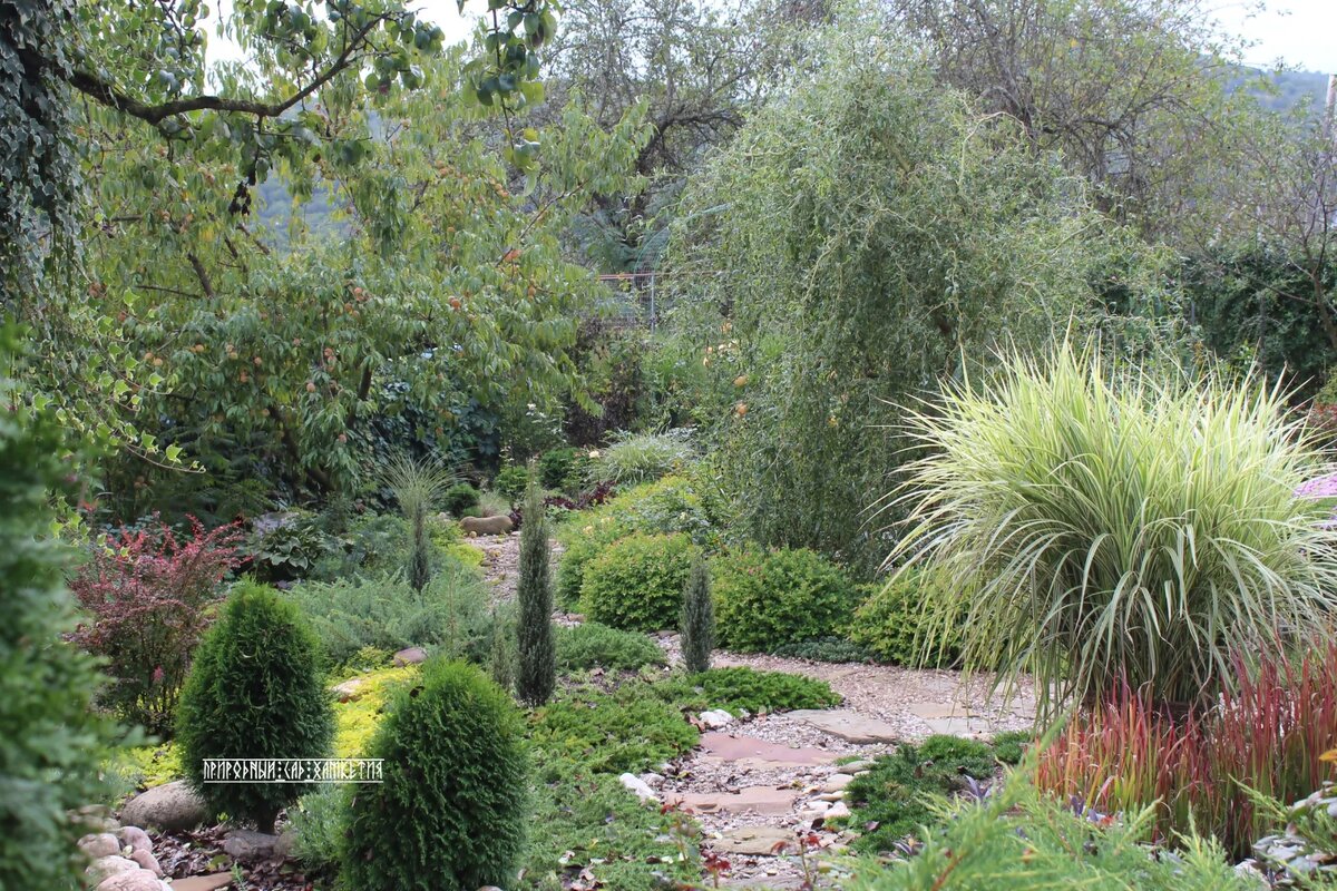 2. Фото Анастасии Булановой, https://ok.ru/profile/325856738169