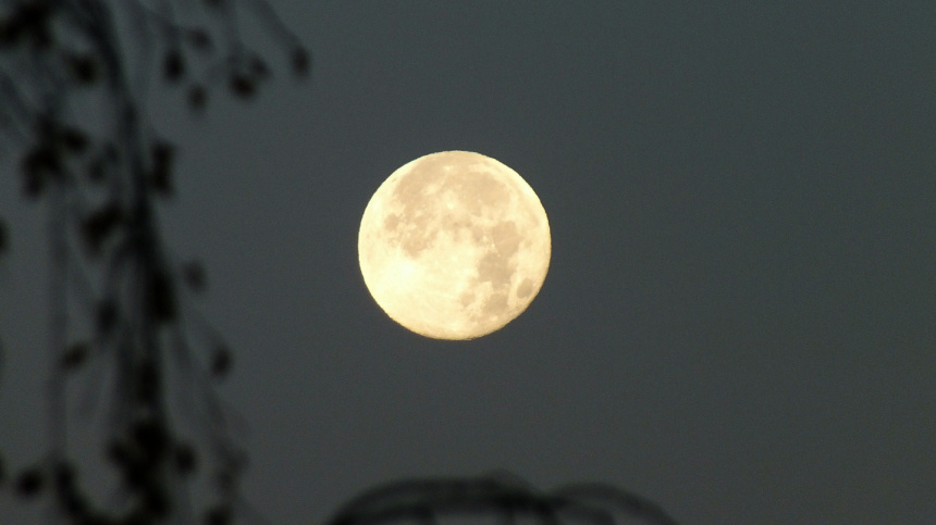    Фото: www.globallookpress.com/Victor Lisitsyn