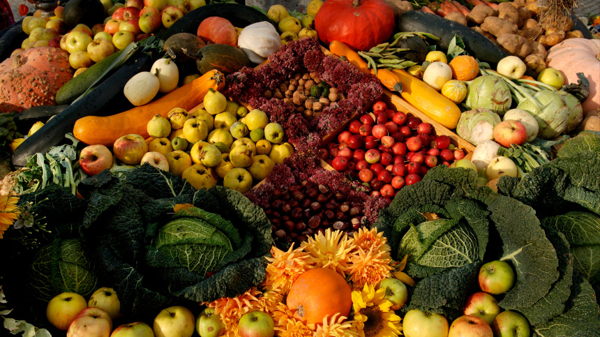    Фото: www.globallookpress.com/Helmut Meyer zur Capellen