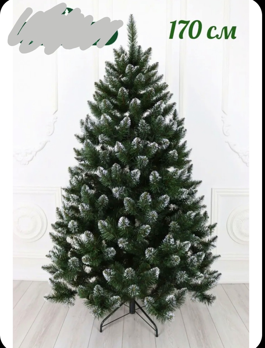 Ель заснеженная