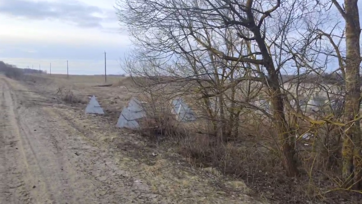    Фото: Царьград