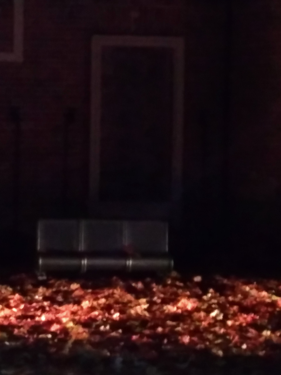 Как говорится - старалась как могла! Но заснять в темноте сцену, заваленную листьями, получилось плохо. Хотя бы представление об общем антураже Вы теперь имеете, правда? Фото мое 