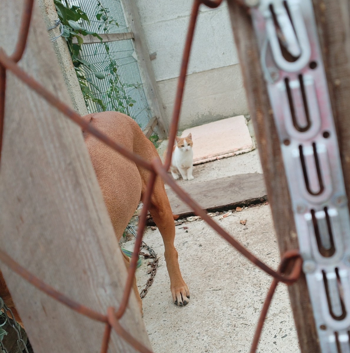 Сидит вдалеке и не думает уходить