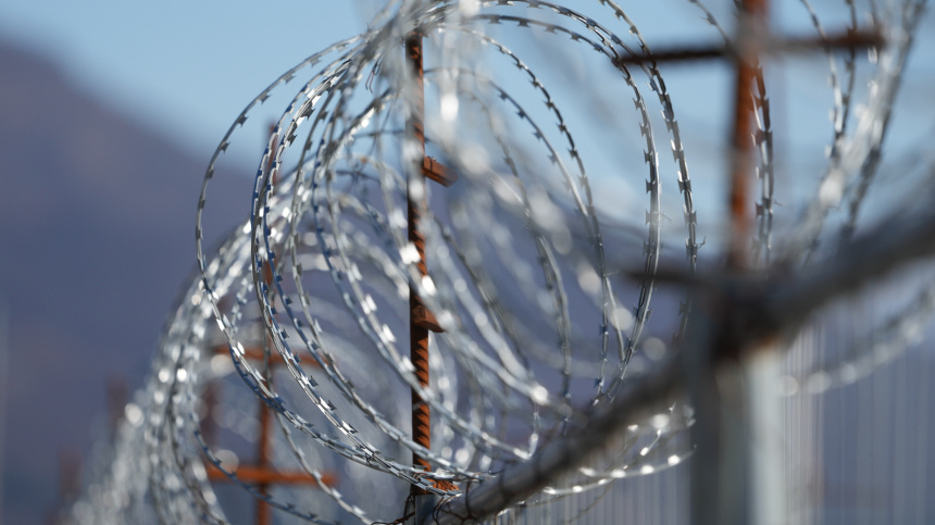    Фото: ИЗВЕСТИЯ/Дмитрий Коротаев; 5-tv.ru