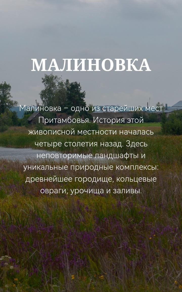 Фото взято из открытых источников интернета