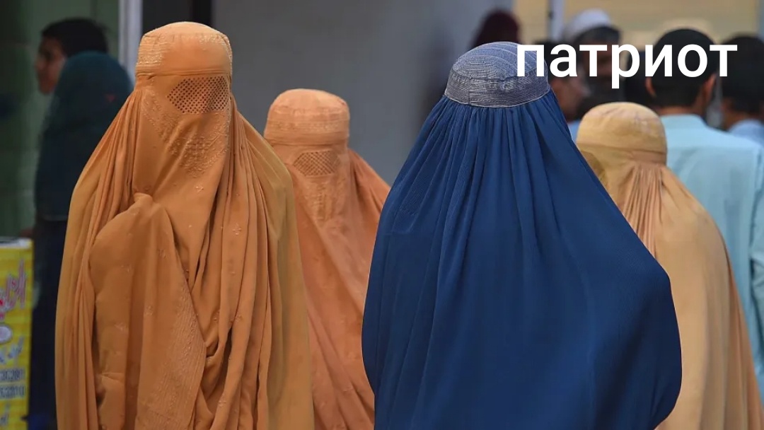 Фото из открытых источников 