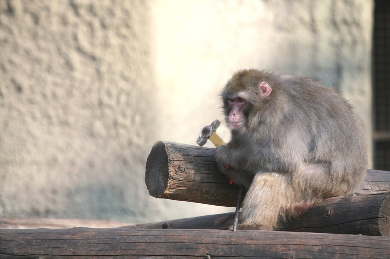 Изображение взято из открытых источников