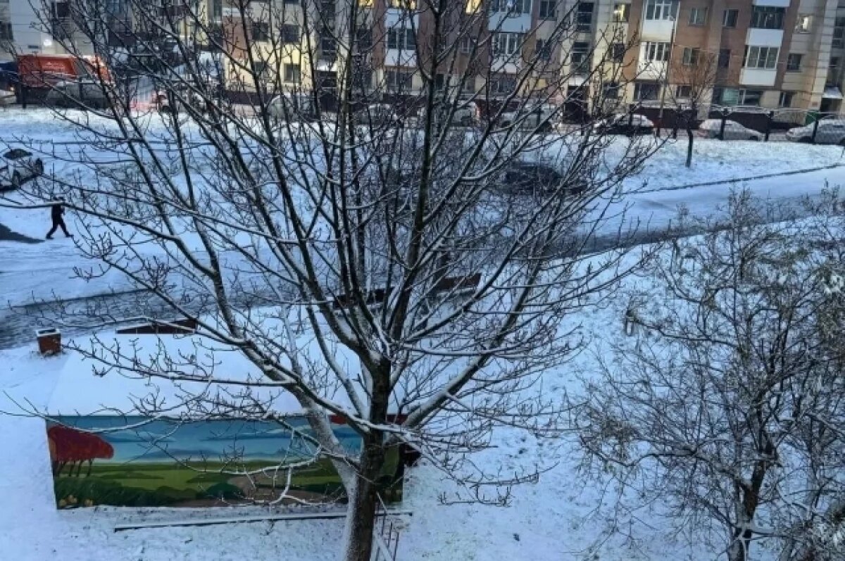    Циклон принес на Камчатку снег, ветер, метель