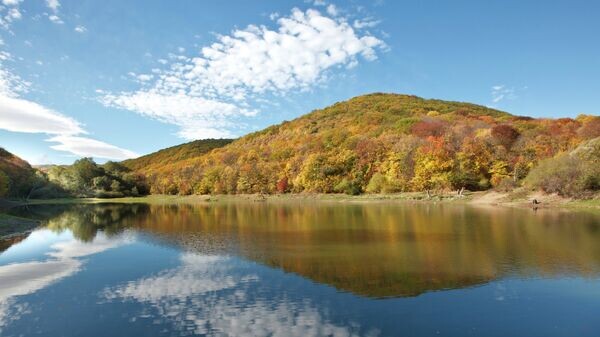    © РИА Новости . Сергей Анашкевич