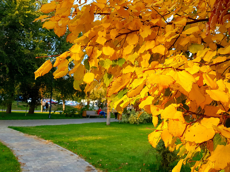     © Фото: ИД «Волгоградская правда» / архив