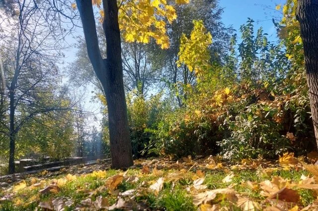    Какой праздник сегодня, 29 октября 2024 года, и что нельзя делать?