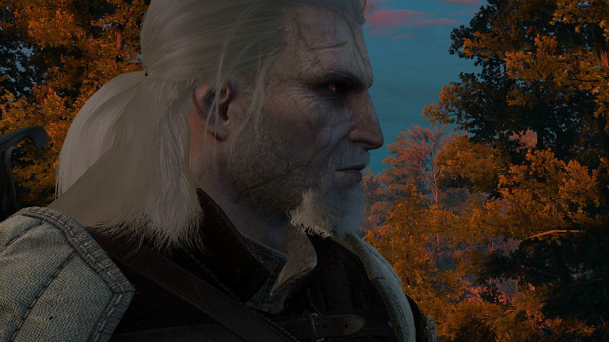 Ведьмак 3: Дикая Охота