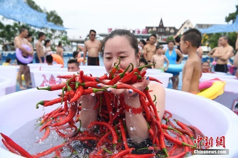 China chili fest. : chinanews.com   