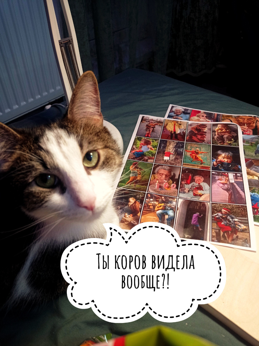 В этот раз Дионис помогал мне. 